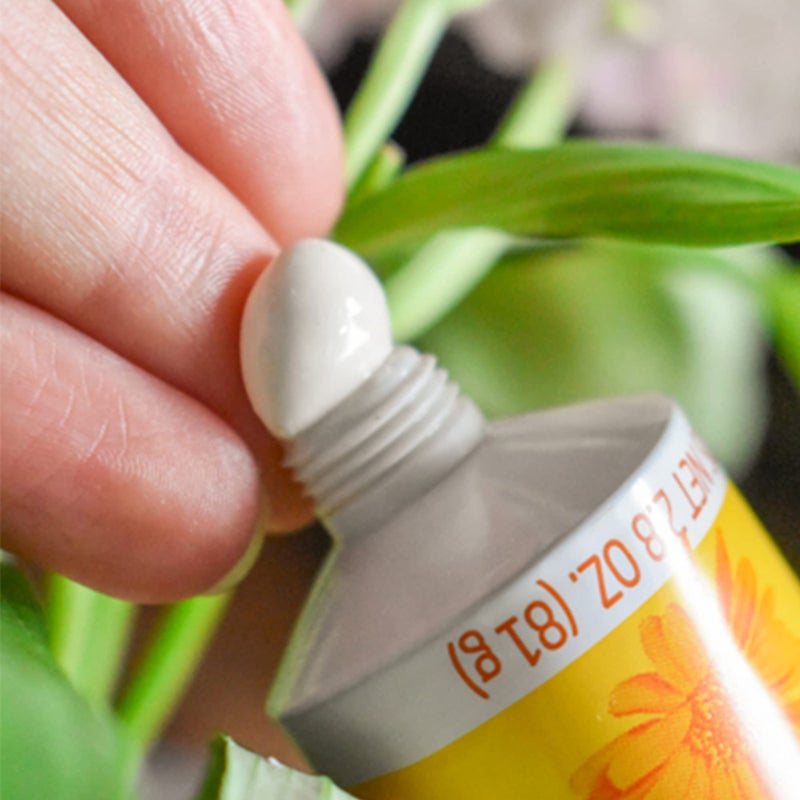 Weleda Baby Calendula Diaper Cream, 2.8 Fluid Ounce, Plant Rich Protection with Calendula, Chamomile, Sweet Almond Oil, Lanolin and Zinc Oxide - Image 4