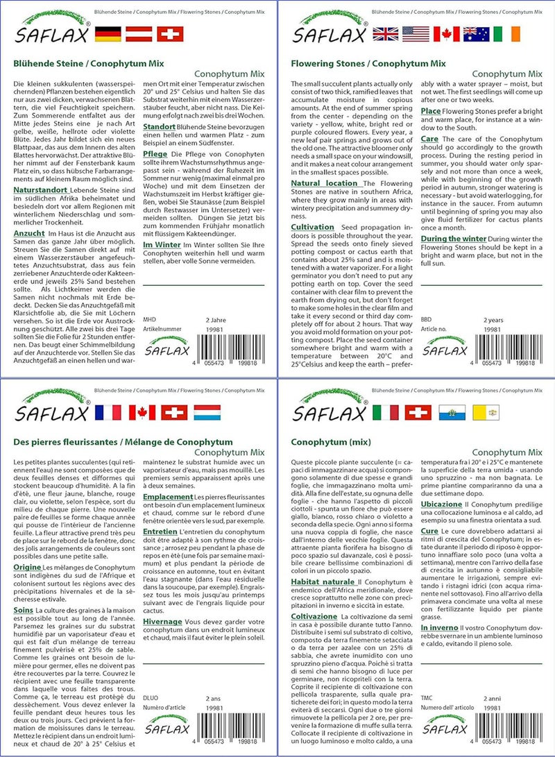 GGOOT Garden in The Bag - Flowering Stones/Conophytum Mix - 40 Seeds - Conophytum Mix - Image 3