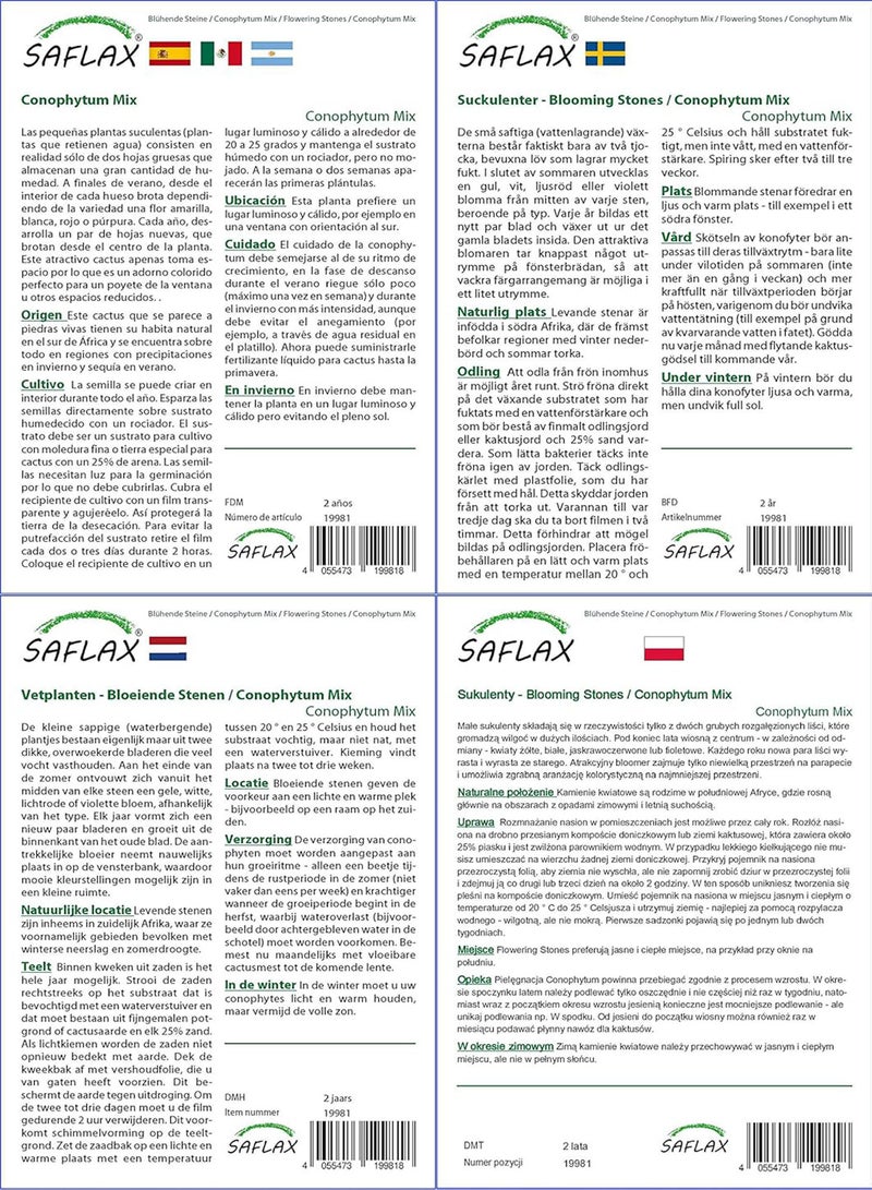 GGOOT Garden in The Bag - Flowering Stones/Conophytum Mix - 40 Seeds - Conophytum Mix - Image 4