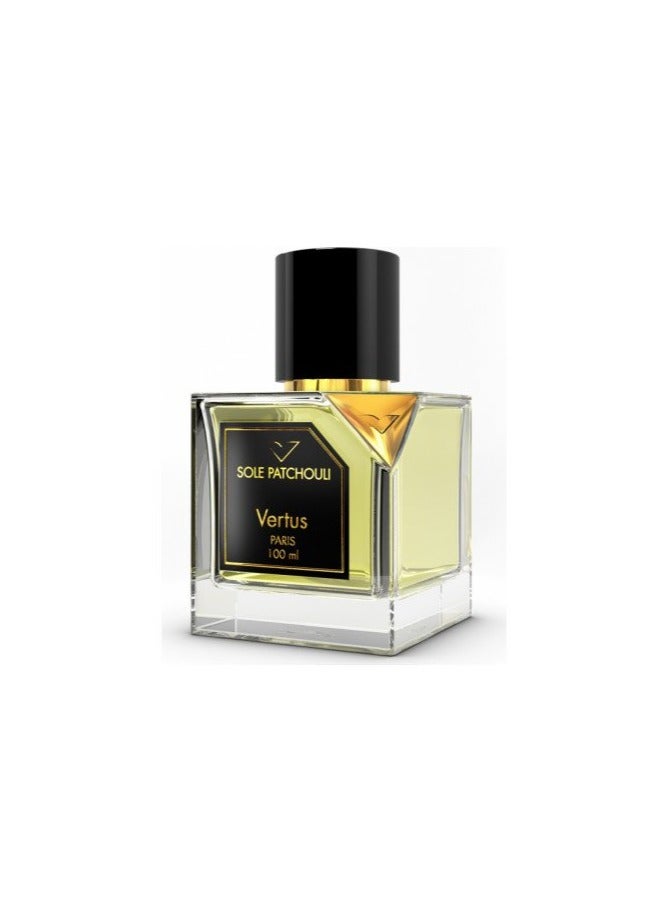 فيتروس عطر سول باتشولي  100ملليلتر - Image 4