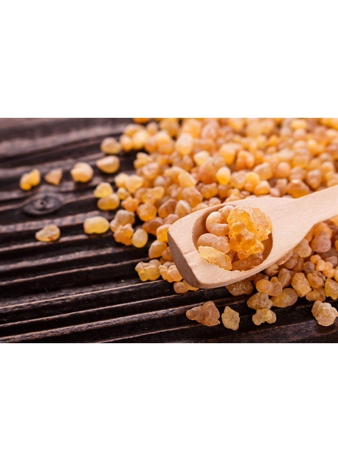 US Organic 100% Pure Frankincense (Boswellia Carteri) Essential Oil - USDA Certified Organic, Use Topically or in Diffuser - Perfect for Yoga or Meditation (10 ml) - Image 4
