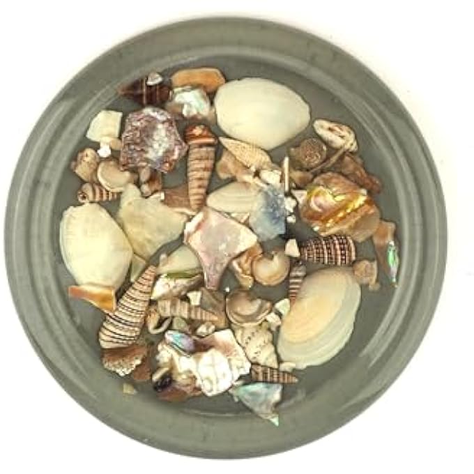 RIGID Tea Coster 5 - Image 4