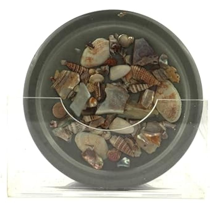 RIGID Tea Coster 5 - Image 3