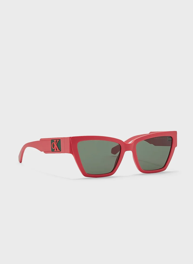 Calvin Klein Jeans Cat Eye Shape Sunglasses