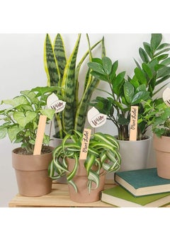 KASTWAVE Plant Marker Wooden Plant Tags Waterproof, Nursery Garden Labels, Plant Garden Place Card, Markers Eco-Friendly Plant Sign Stakes Sticks  - Image 5