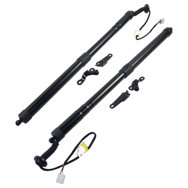 Flynsu Electric Tailgate Struts Shock Power Trunk Lift Support Replacement for Lexus NX200t NX300h 20152017 Part 6891079016 6892079016