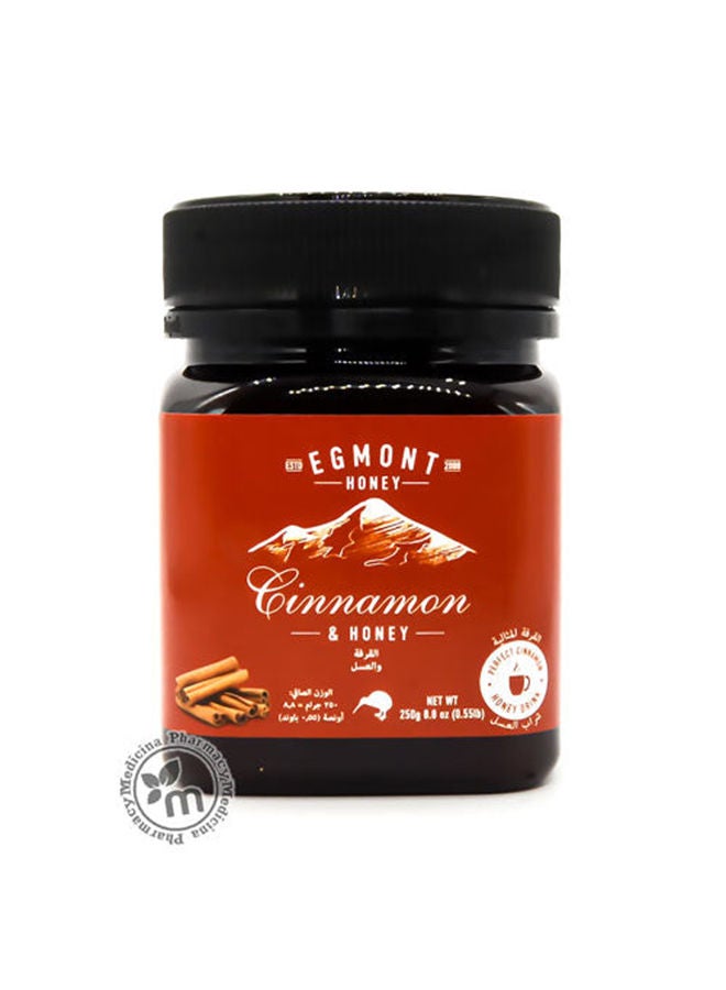 Cinnamon New Zealand Honey 250gm