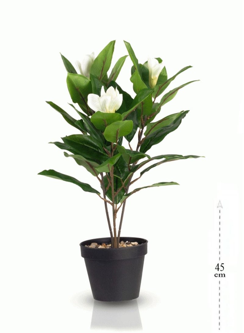 co arma Lemon leaves vase with white flowers 45 cm  - Image 1