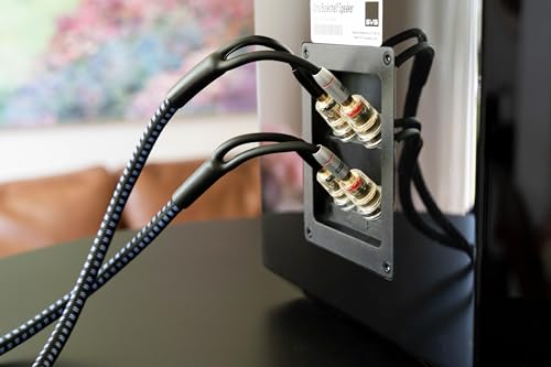 SVS SoundPath Ultra Bi-Wire Speaker Cable with Banana Connectors – Each (10 ft.) - Image 2