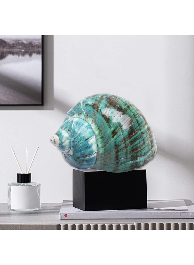 يُسلِّم قطعتان من صدفة محارة كبيرة طبيعية لتماثيل قابلة للتجميع وديكورات حوض السمك وحفلات الزفاف وحفلات الشاطئ وديكورات المنزل (المقاس: 9-11 سم) - Image 4