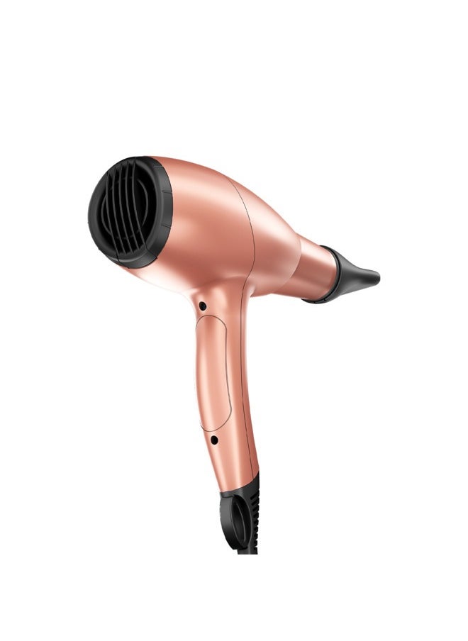 Rush Brush - D3 Ultra Dryer Rose Gold 2400 W - Image 1