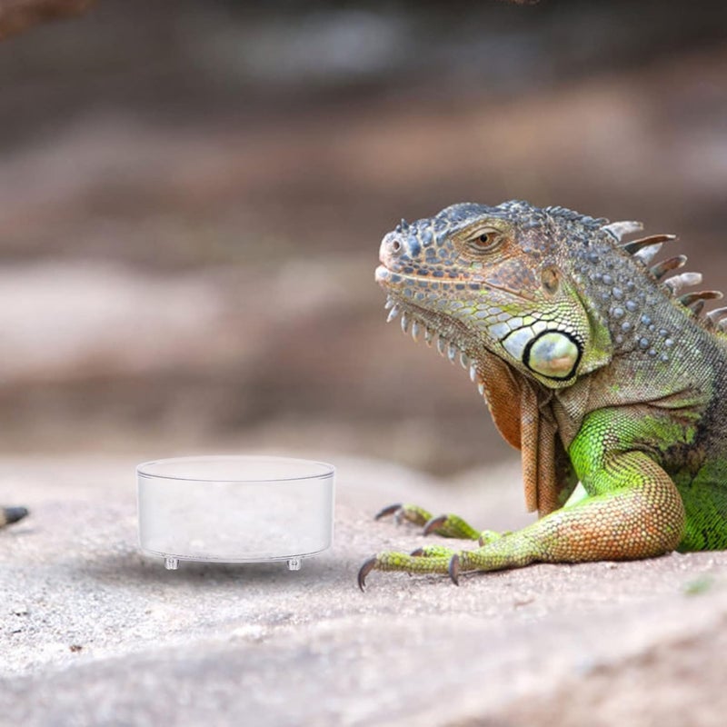 30pcs Bearded Dragon Terrarium Reptile Food Tray Reptile Dish Household Cup Snake Terrarium Accessory - Image 3