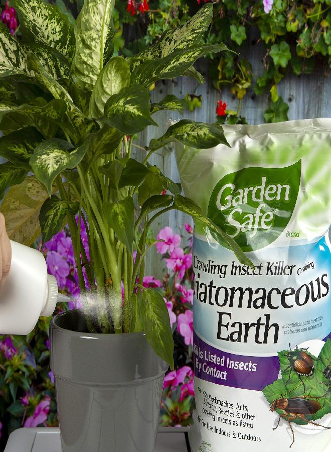 Garden Safe Brand Crawling Insect Killer Containing Diatomaceous Earth, 4 Pounds, Kills Cockroaches, Ants and Other Listed Crawling Insects by Contact, For Use Indoors & Outdoors - Image 5
