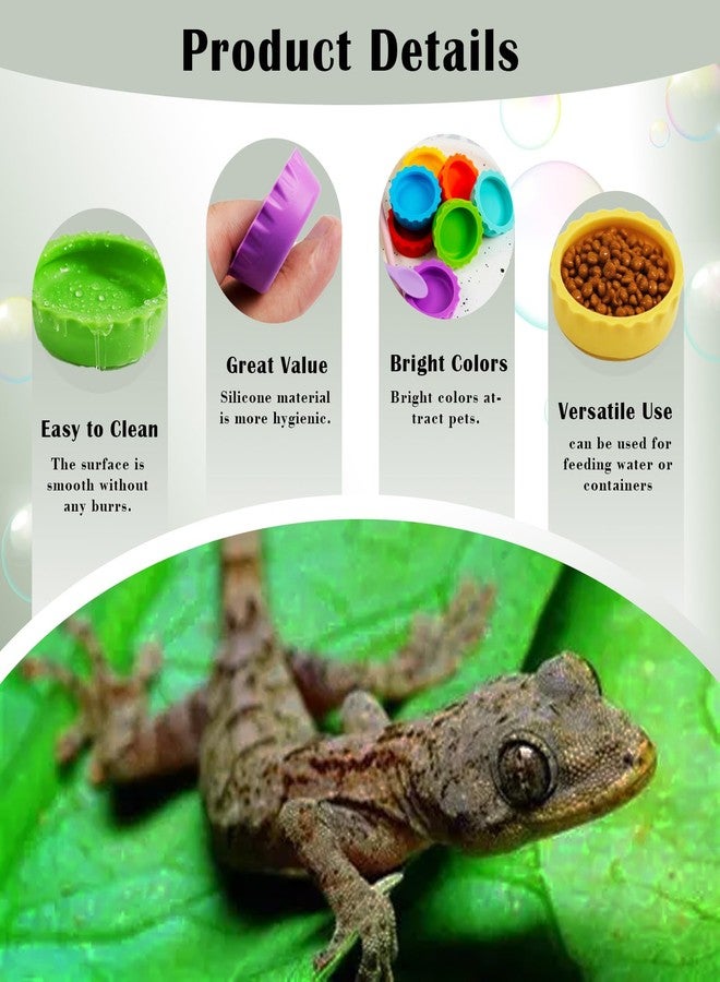 Binxus 7 Pcs Crested Gecko Tank Accessories Food Dish and 3 Pcs Silicone Scoops, Crested Gecko Food and Water Feeding Cups Colorful Water Bowl for Tortoise, Small Pet and Crab (Colorful) - Image 4