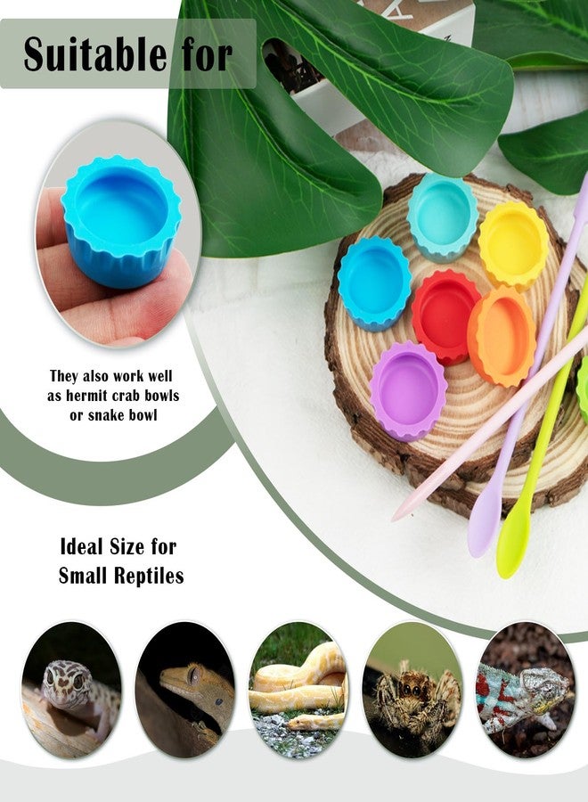 Binxus 7 Pcs Crested Gecko Tank Accessories Food Dish and 3 Pcs Silicone Scoops, Crested Gecko Food and Water Feeding Cups Colorful Water Bowl for Tortoise, Small Pet and Crab (Colorful) - Image 3