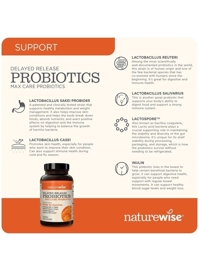 NatureWise Max Probiotics for Men & Women | Delayed Released Capsule 30 Billion CFU with 12 Highly Effective Strains, Shelf Stable [2 Month Supply – 60 Capsules] - Image 5