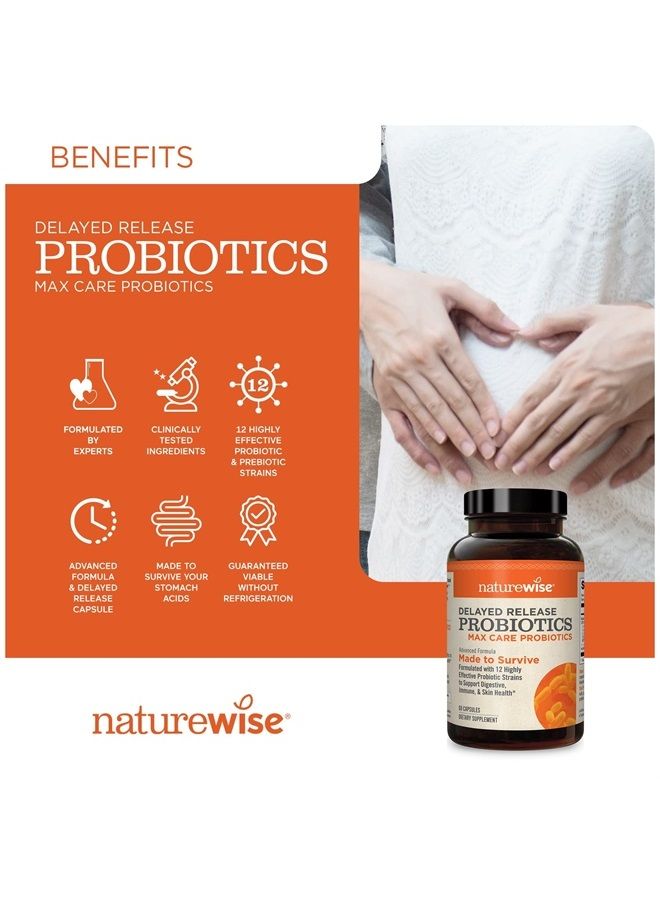 NatureWise Max Probiotics for Men & Women | Delayed Released Capsule 30 Billion CFU with 12 Highly Effective Strains, Shelf Stable [2 Month Supply – 60 Capsules] - Image 4