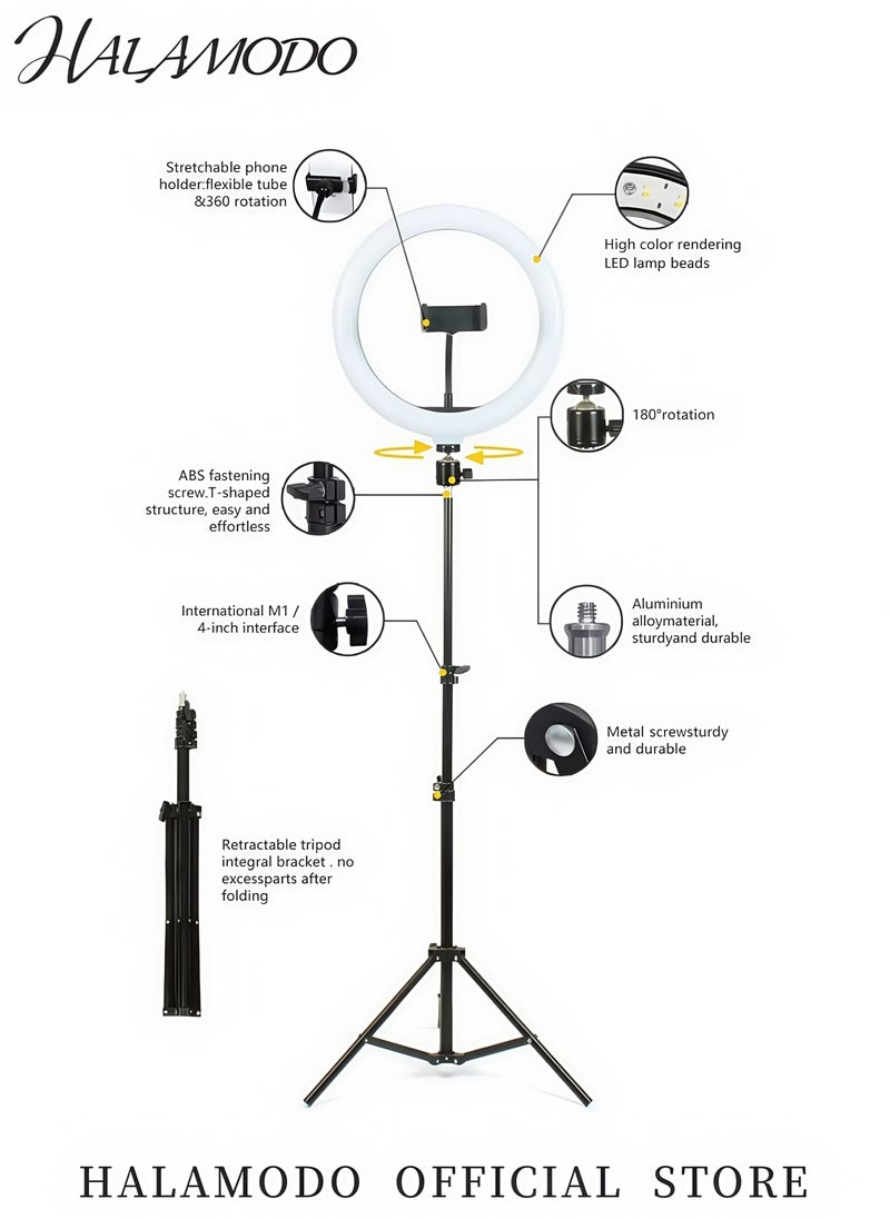 HALAMODO - 10'' Ring Light with Adjustable Tripod Stand and Phone Holder USB Powered Fill Light with 3 Color Modes for Live Streaming Makeup Video Recording TikTok YouTube Photography - Image 1