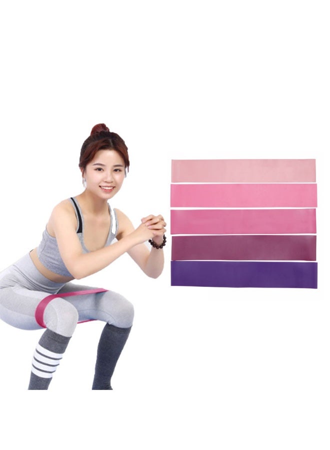 Generic Set of 5 Exercise Resistance Band Ring Sports Belt Set with Guide and Carrying Bag - Image 1
