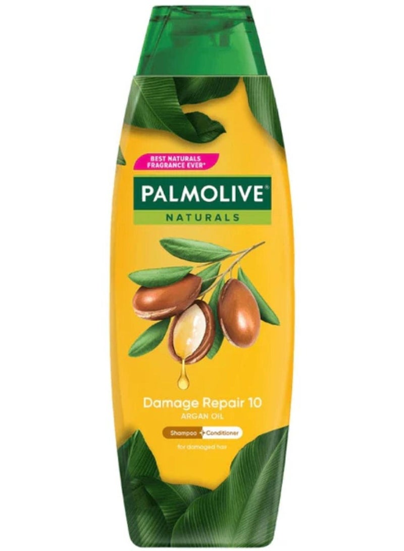 Palmolive Damage Repair Argan Oil Shampoo 180ml
