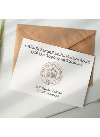 هيربال إيسنسز شامبو طبيعي بثمرة قهوة أرابيكا لكثافة الشعر - view 5