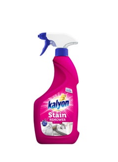 Stain Remover 750 ML