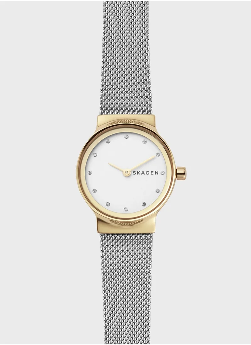 Skagen Mesh Watch