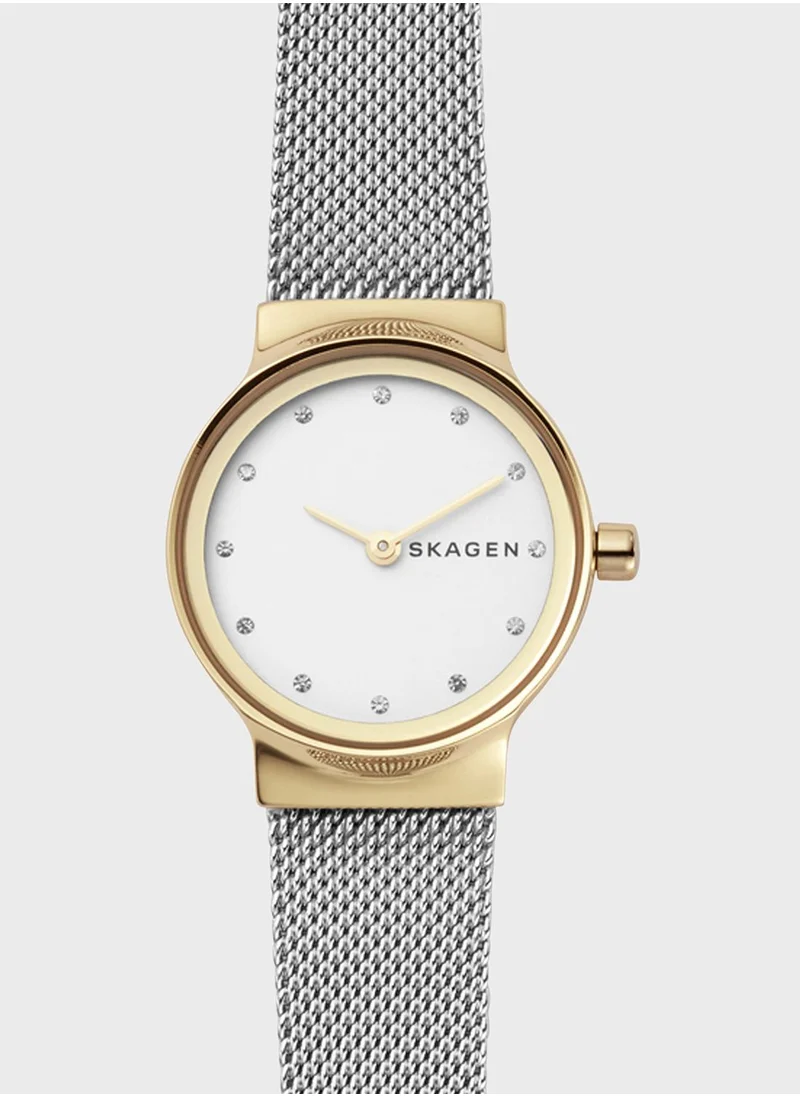 Skagen Mesh Watch