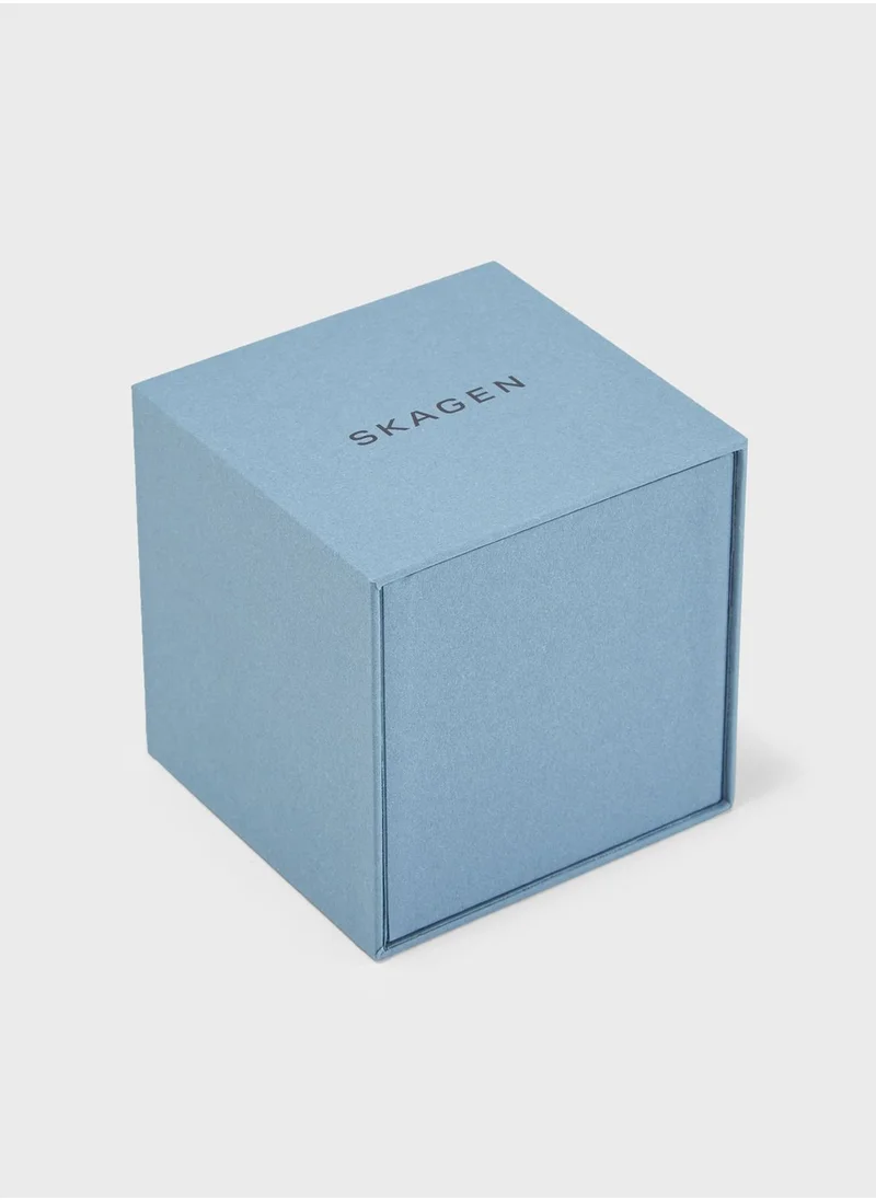Skagen Mesh Watch