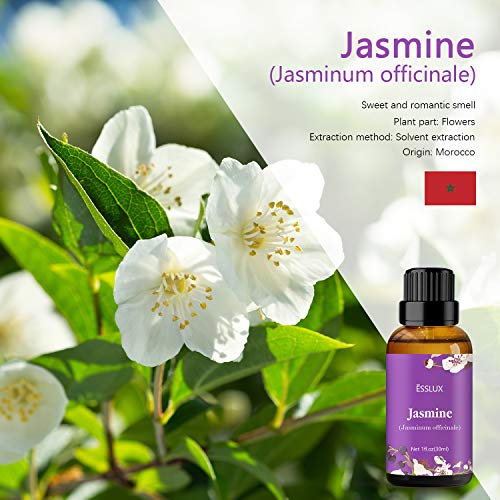 ESSLUX Jasmine Essential Oil, ESSSLUX Aromatherapy Oils for Diffuser, Massage, Soap, Candle Making, Perfume, 30 ml - Image 2