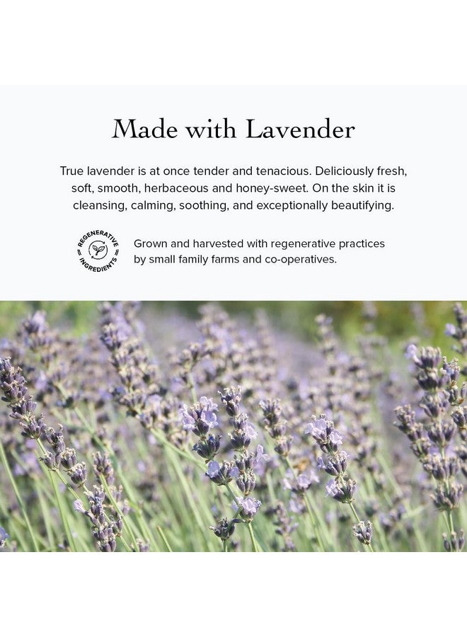 evanhealy Blue Chamomile Moisturizer | Calming Facial Cream with Carrot Seed & Argan Oil | Creamy Moisturizer For Sensitive & Reactive Skin - Image 5