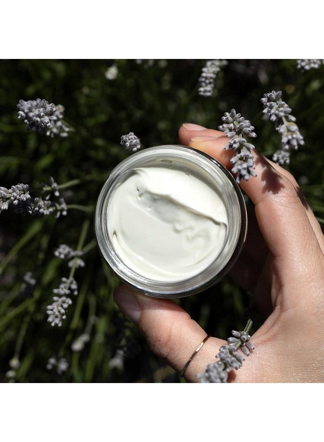 evanhealy Blue Chamomile Moisturizer | Calming Facial Cream with Carrot Seed & Argan Oil | Creamy Moisturizer For Sensitive & Reactive Skin - Image 3
