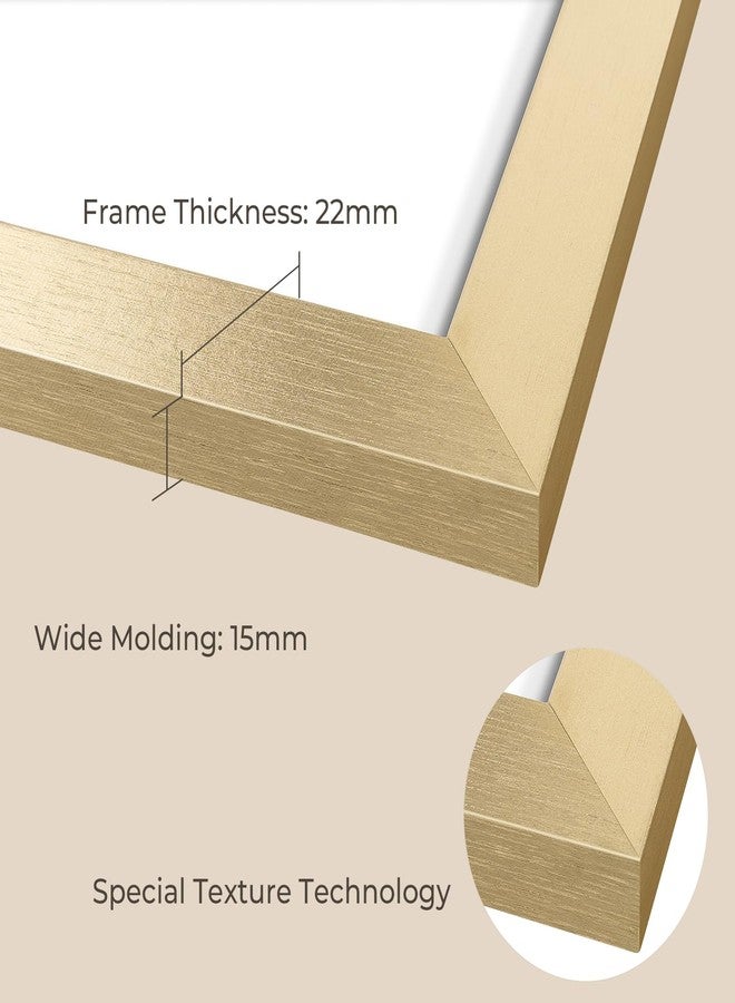 أوير مجموعة إطارات صور AUEAR، مقاس 6x8، مكونة من 3 قطع، مع إطار داخلي لمقاس 4x6 أو 6x8 بدون إطار داخلي، إطارات صور من الخشب المصنّع مع زجاج شبكي، للعرض على الحائط أو سطح الطاولة (ذهبي) - Image 4