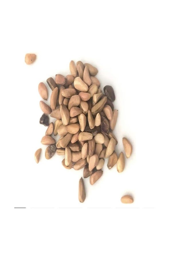 200 PCS Mixed Color Rose Seed For Balcony Garden Planting - Image 2