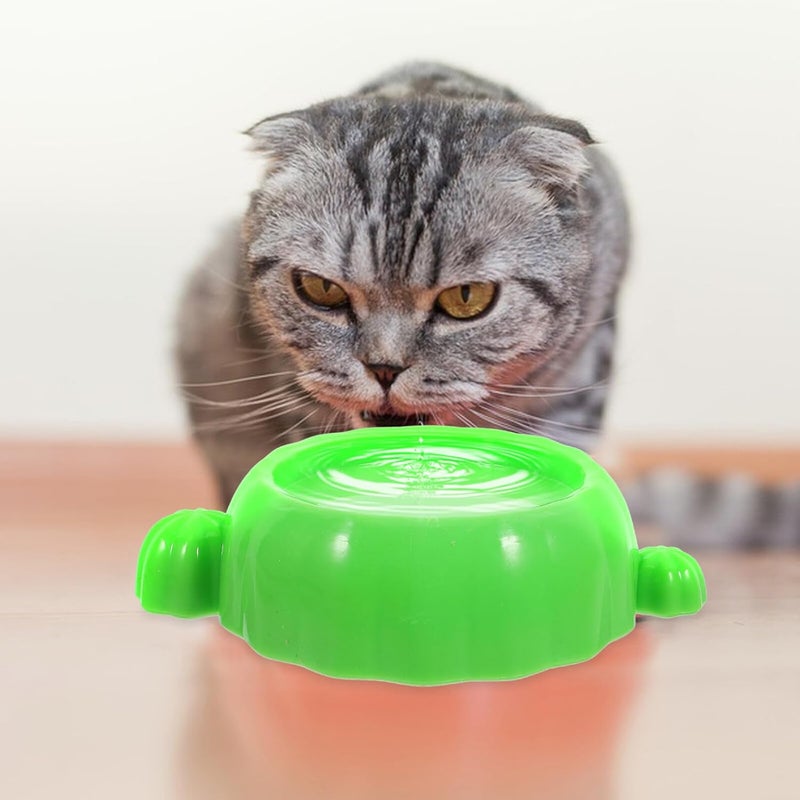 GALPADA Cactus Shaped Elevated Pet Feeding Bowl for Cats and Dogs, Tilted Plastic Water and Food Dish, 1pcs Green Slanted Cat Bowl for Indoor Use - Image 4
