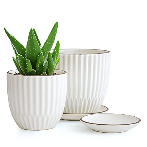 D'vine Dev Set of 2 Stoneware Planter Pots, Ceramic Pot with Drainage Hole and Saucers, 4.5 Inch 5.8 Inch, Ivory, 99-D-1 - Image 1