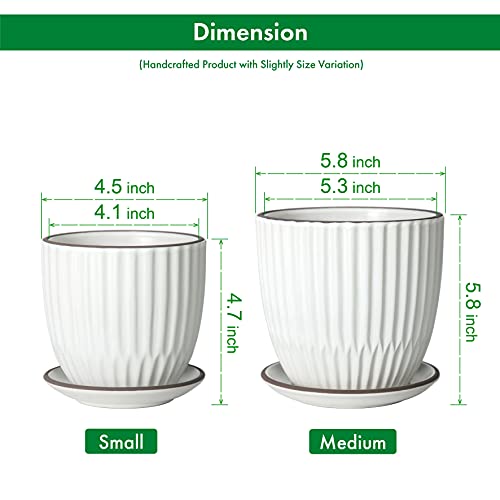 D'vine Dev Set of 2 Stoneware Planter Pots, Ceramic Pot with Drainage Hole and Saucers, 4.5 Inch 5.8 Inch, Ivory, 99-D-1 - Image 3
