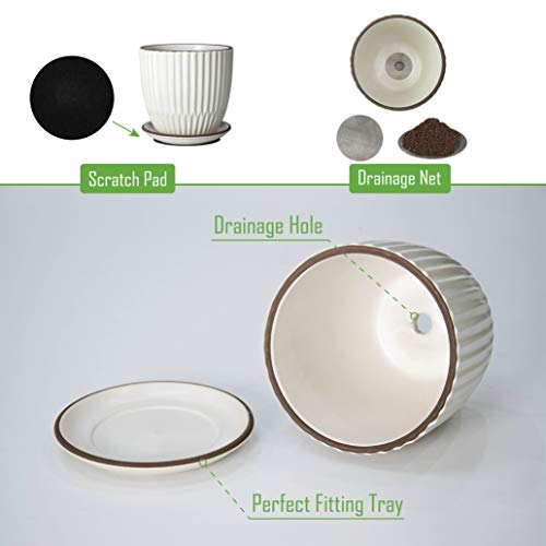 D'vine Dev Set of 2 Stoneware Planter Pots, Ceramic Pot with Drainage Hole and Saucers, 4.5 Inch 5.8 Inch, Ivory, 99-D-1 - Image 4