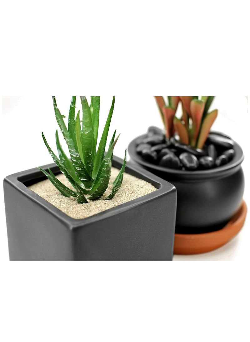 RACO Multi Purpose Natural Sand for Construction Flooring Aquarium Plants and DIY (10KG, WHITE) - Image 2