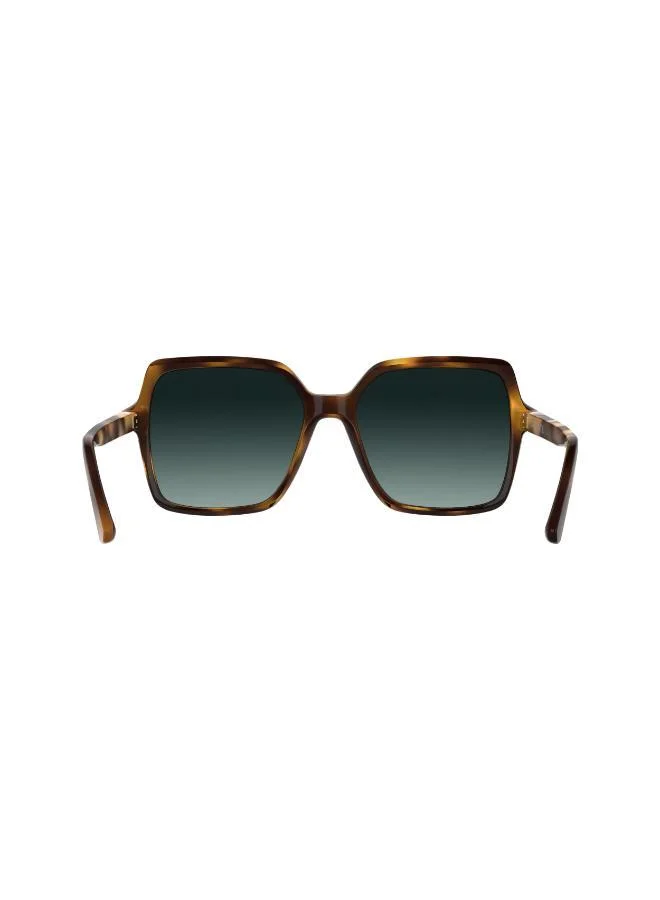 CALVIN KLEIN Butterfly Sunglasses