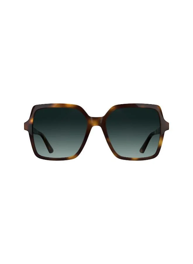 CALVIN KLEIN Butterfly Sunglasses