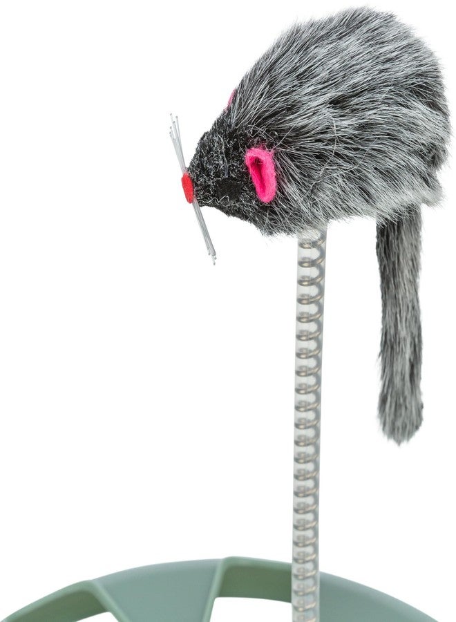 تريكسي لعبة تريكسي الدائرية المجنونة مع لعبة قطة قطيفة على زنبرك، لعبة قطة تفاعلية، لعبة قط وفأر، لعبة رياضية (أخضر)، مناسبة لجميع الأعمار - Image 5