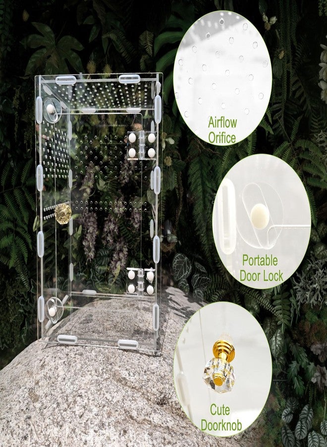 plzzree Acrylic Jumping Spider Enclosure Box: 10x6x6 Inch Transparent Habitat with Ventilation Holes, Escape-Proof Terrarium for Reptile Pet, Easy to Clean & Observe - Image 4