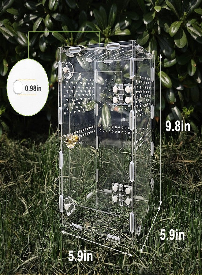 plzzree Acrylic Jumping Spider Enclosure Box: 10x6x6 Inch Transparent Habitat with Ventilation Holes, Escape-Proof Terrarium for Reptile Pet, Easy to Clean & Observe - Image 3