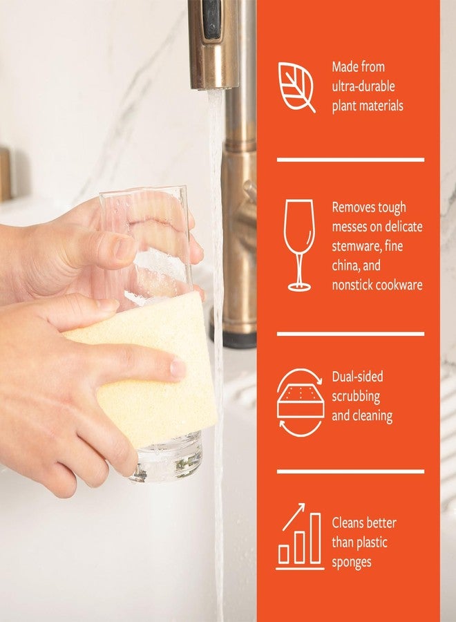 Full Circle Citrus Gentle Scrubber Sponge – Delicate Surface Cleaner with Citrus Peel & Plastic-Free Cellulose – Dual-Sided Sponge for Glass, Stemware & Fine China, 2 Pack - Image 3
