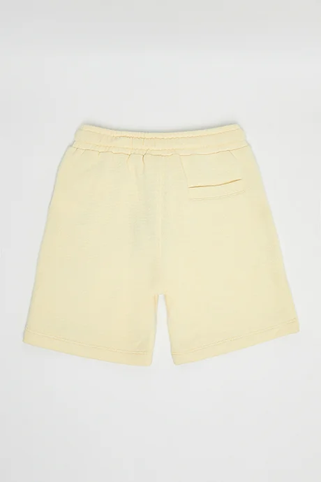 R&b Peanuts Embroidered Shorts with Drawstring Waist