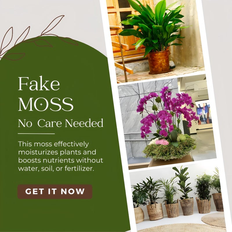 BYHER 2.2LB Large Capacity Fake Moss for Plants Indoor, 35 OZ Fresh Green Moss for Potted Plants Craft Moss for Home & Office Decor Fairy Garden Decoration (Fresh Green - 992gr) - Image 3
