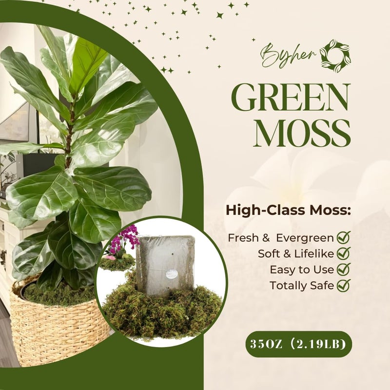 BYHER 2.2LB Large Capacity Fake Moss for Plants Indoor, 35 OZ Fresh Green Moss for Potted Plants Craft Moss for Home & Office Decor Fairy Garden Decoration (Fresh Green - 992gr) - Image 2