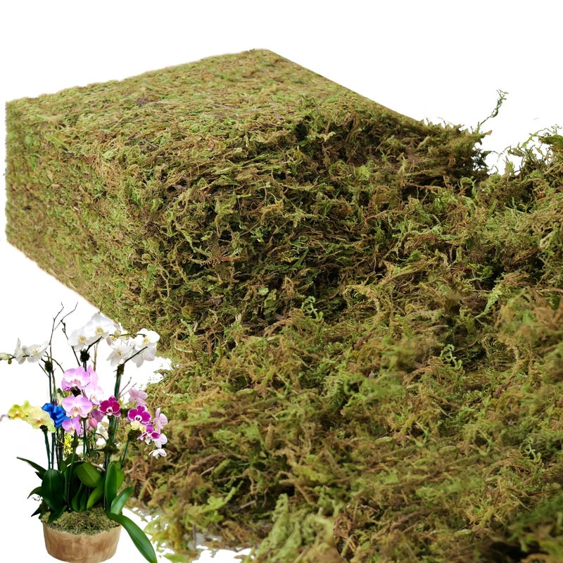 BYHER 2.2LB Large Capacity Fake Moss for Plants Indoor, 35 OZ Fresh Green Moss for Potted Plants Craft Moss for Home & Office Decor Fairy Garden Decoration (Fresh Green - 992gr) - Image 1