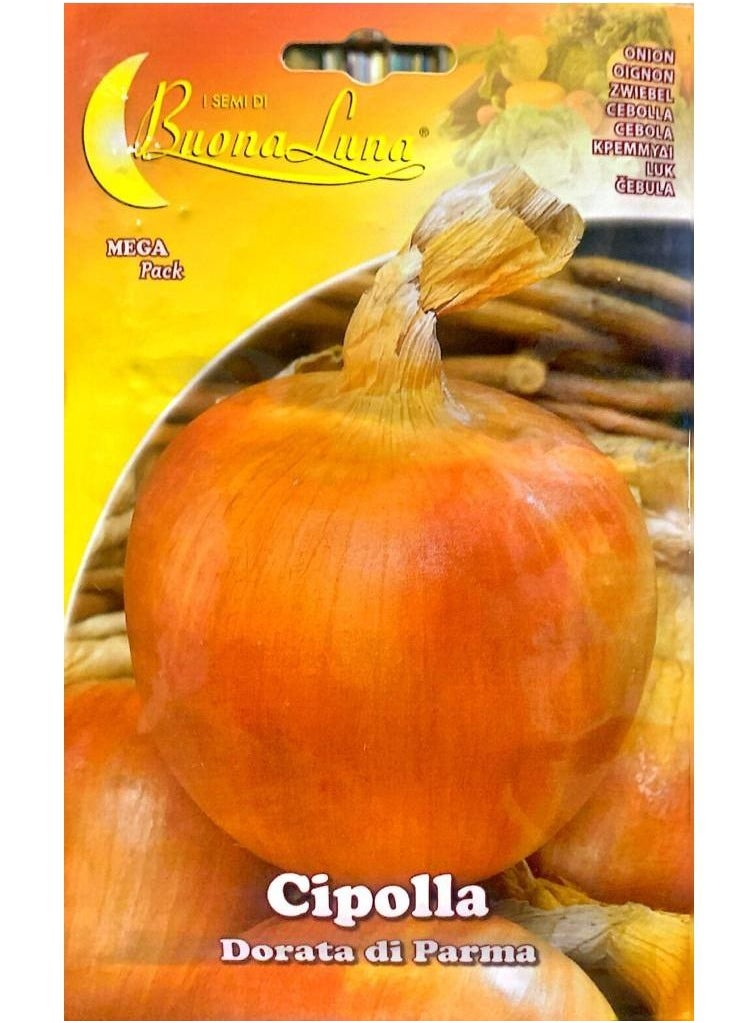 Buona Luna Onion Seeds  - Image 1